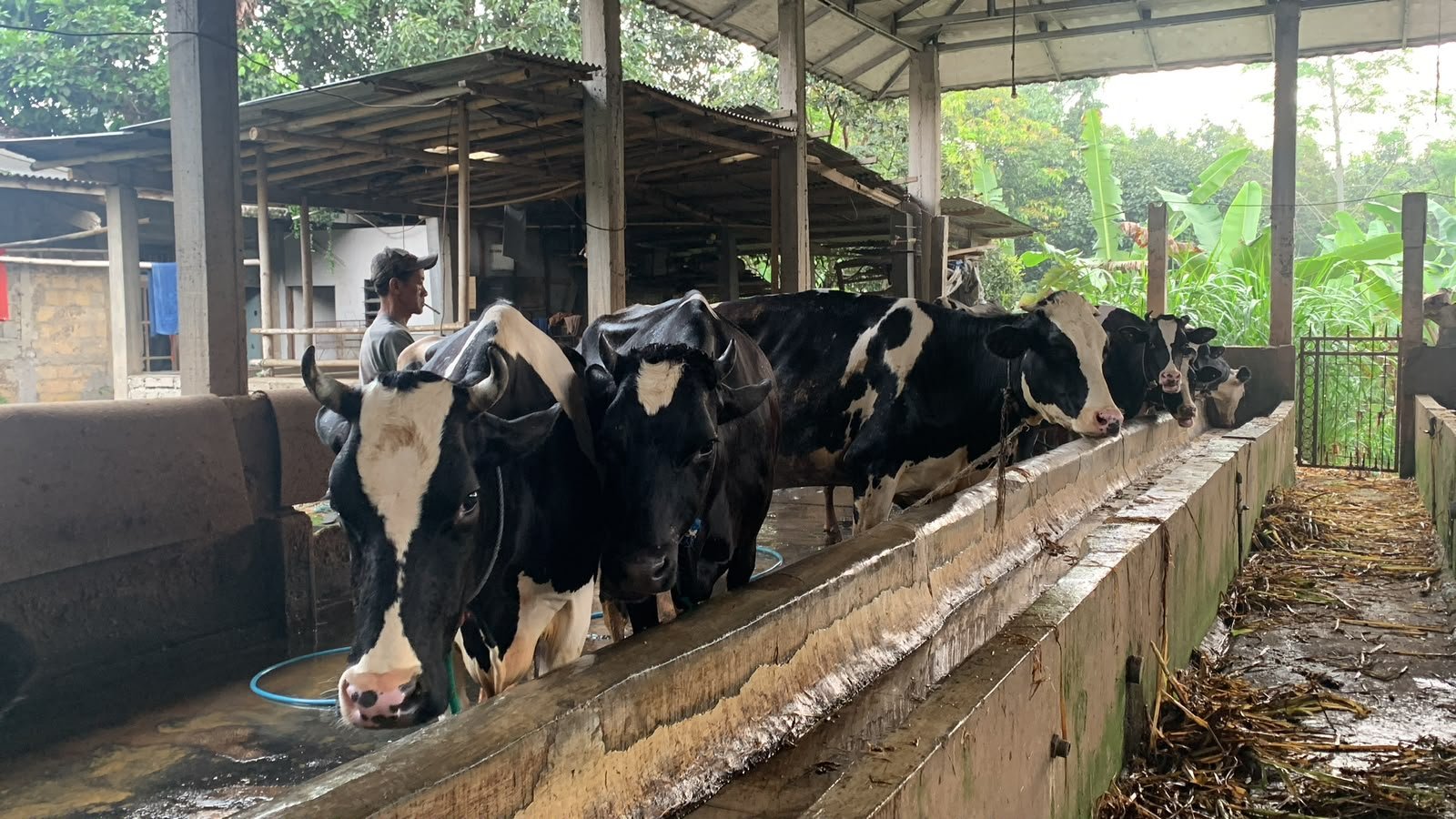 Filosofi Wahyu Farm
